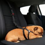 dog seat belts and dog car harness reviews