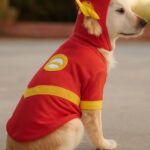 dog care merit badge worksheet and harley quinn dog costume