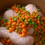 semi moist dog food and organic grain free dog food