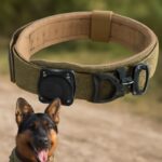 Dog bark collar and military dog collar options