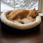 dog bed pattern and how to make a dog bed with sides