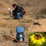 Understanding dog bite PSI, liability, and snake bite recovery