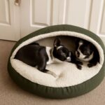 dog cave bed and cave dog beds