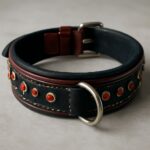 dog collars for large dogs, xl dog collars