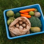 fiber for dogs and high fiber dog treats
