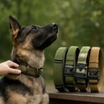 luxury dog collars and military dog collars